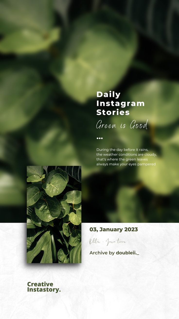 a brochure with green leaves on the front and back cover for an instagramment