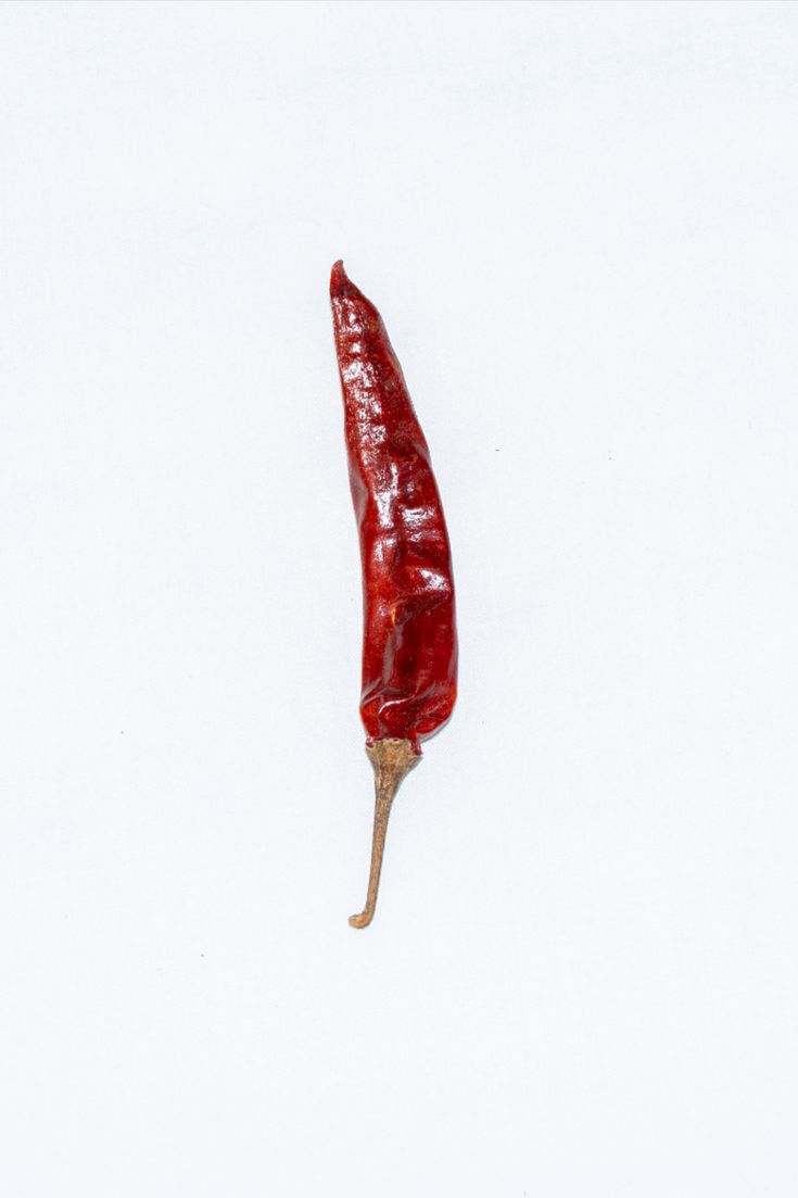 agriculture, alkaline, background, burning, capsicum, chili, chilly, closeup, color, cook, cooking, cuisine, culture, dry, farm, food, freezing, fresh, healthy, heat, herb, herbal, hot, ingredient, isolated, kitchen, kitchen item, nature, organic, paprika, pepper, photography, plant, red, red chili, ripe, seasoning, single, spice, spices, spicy, taste, vegan, vegetable, vegetarian, white, white background, Pepper Photography, Fruits And Vegetables Images, Chili White, Paprika Pepper, Kitchen Item, Farm Food, Chilli Pepper, Red Chili, A White Background