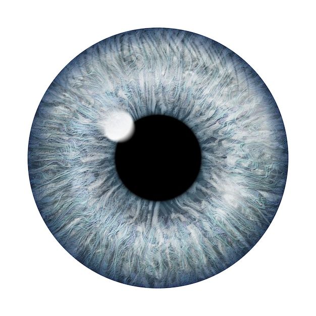 an image of a blue eye that is very close up