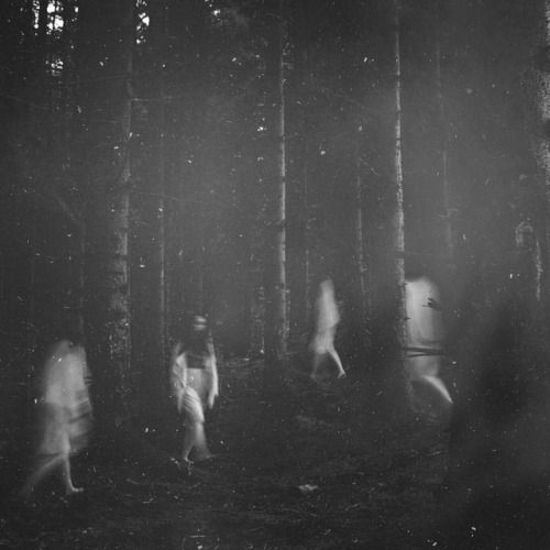 blurry image of people walking in the woods