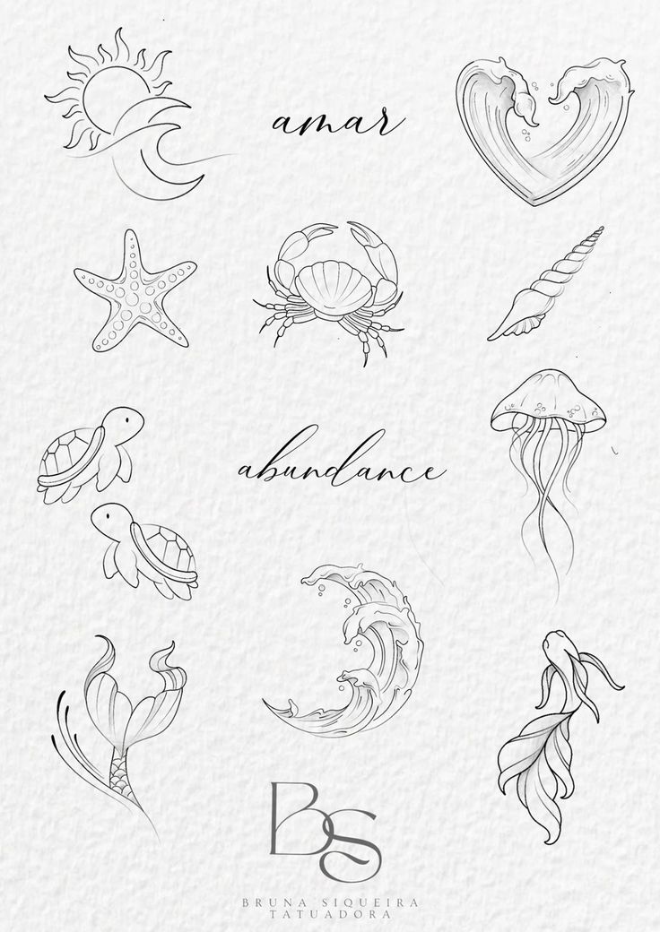 an assortment of marine animals and their names in black ink on white paper with the words,