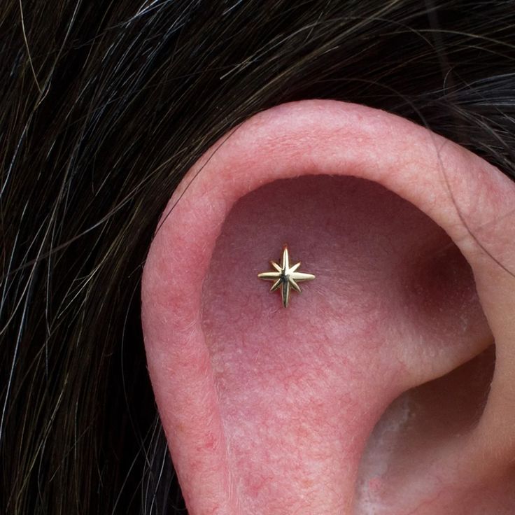 an ear with a tiny star on it