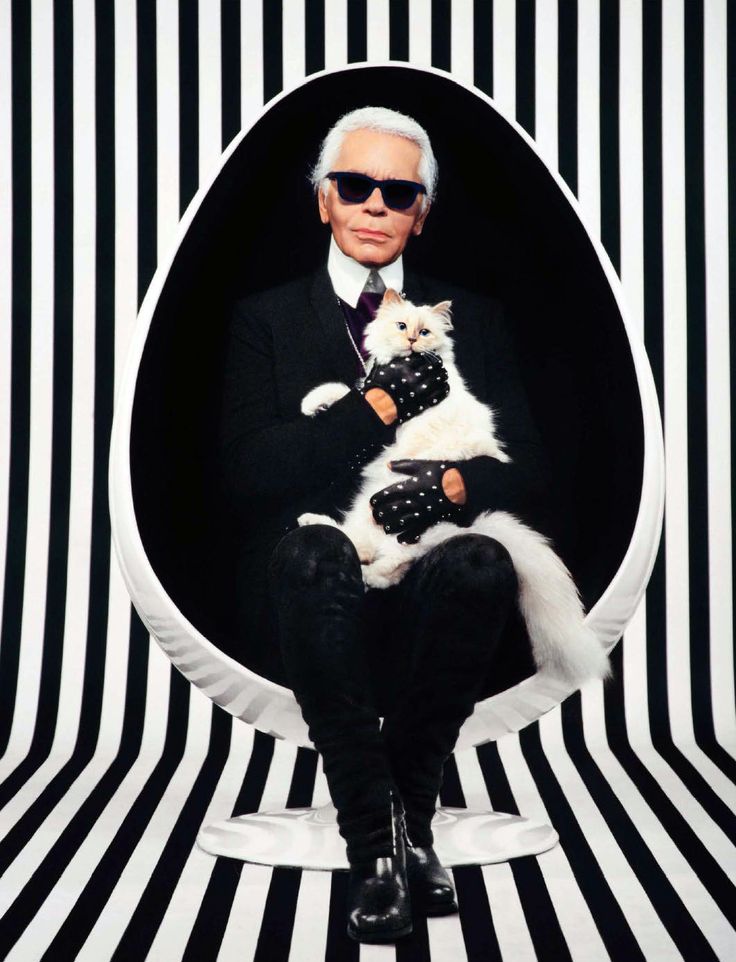 the private life of a high - flying fashion cat by choupette, thomas