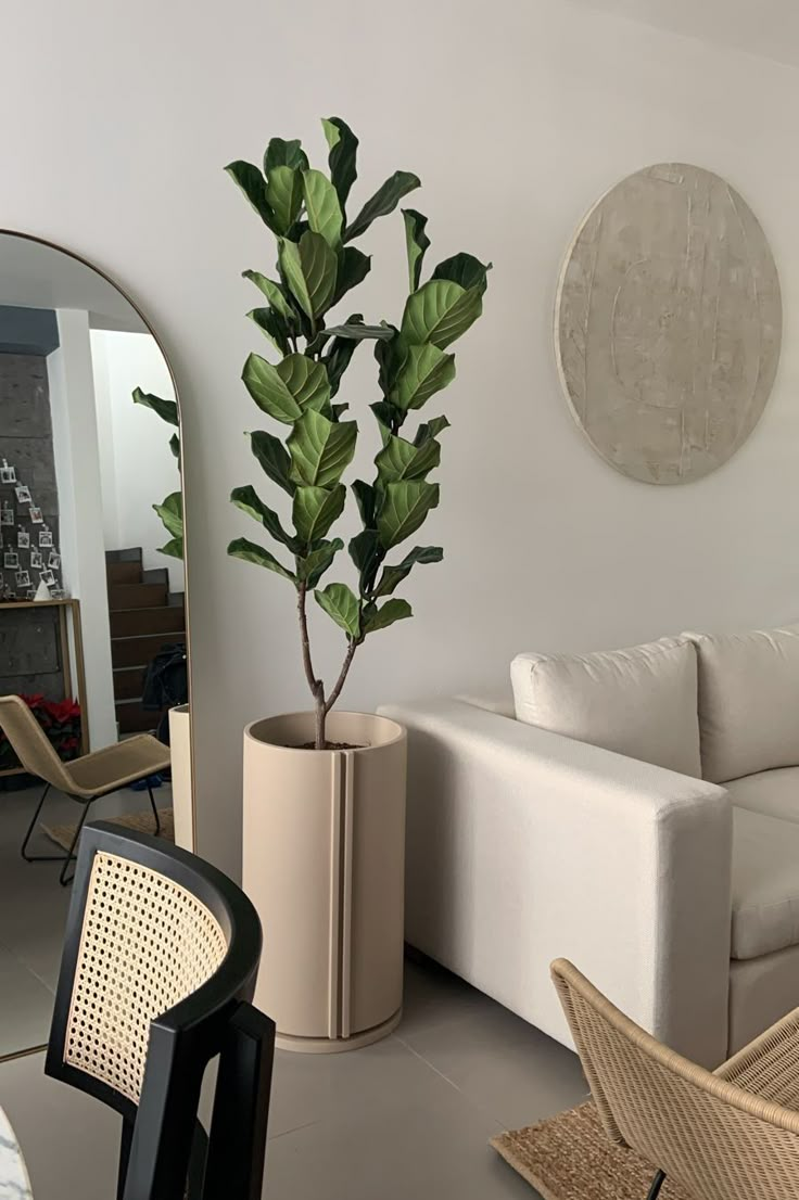 a living room filled with furniture and a potted plant in front of a mirror