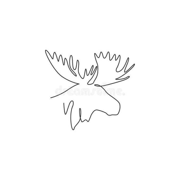 continuous line drawing of a moose's head royalty illustration