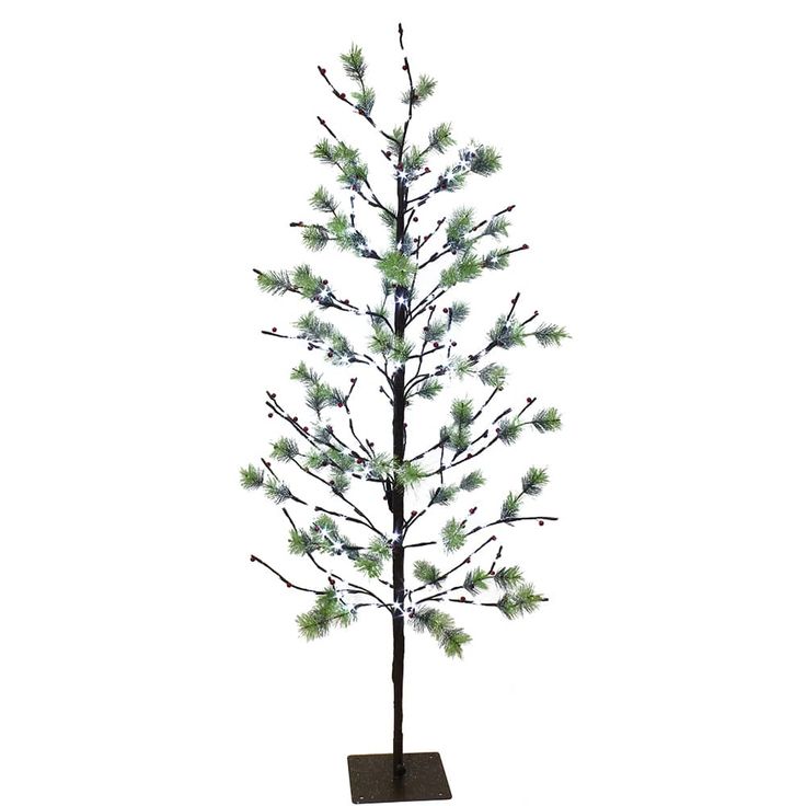 a small pine tree with white lights on it