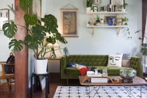 a living room filled with furniture and plants