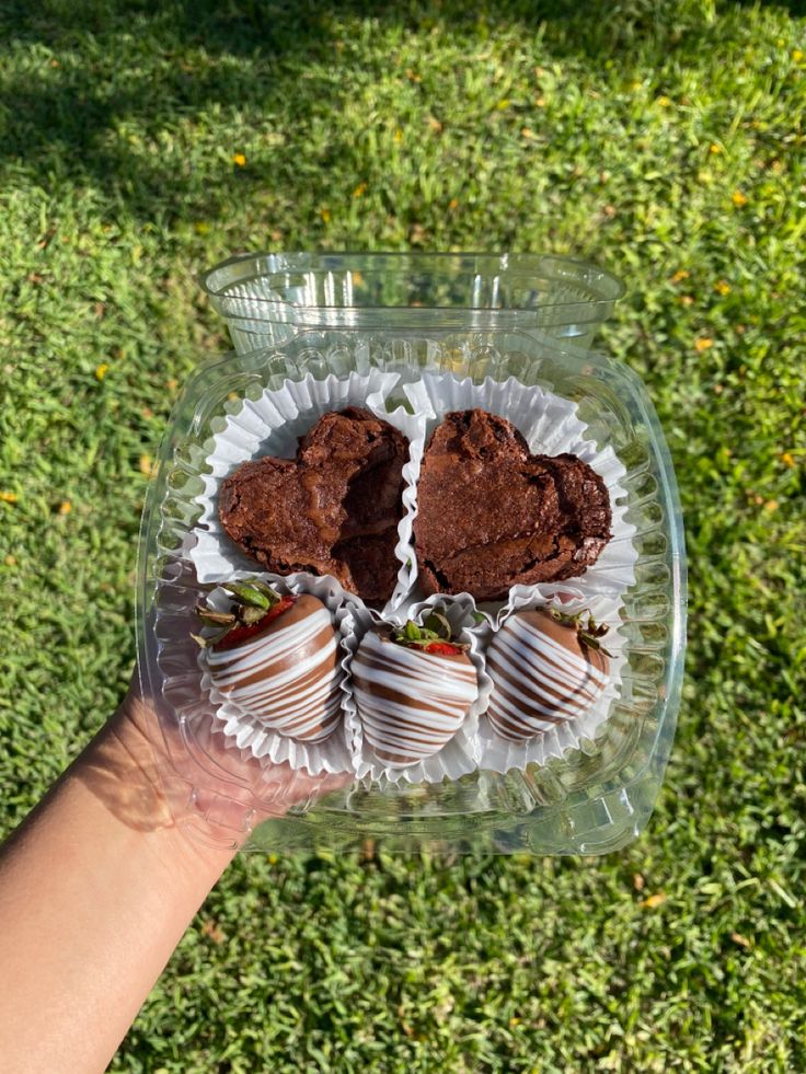 a hand holding a plastic container filled with chocolate covered strawberries