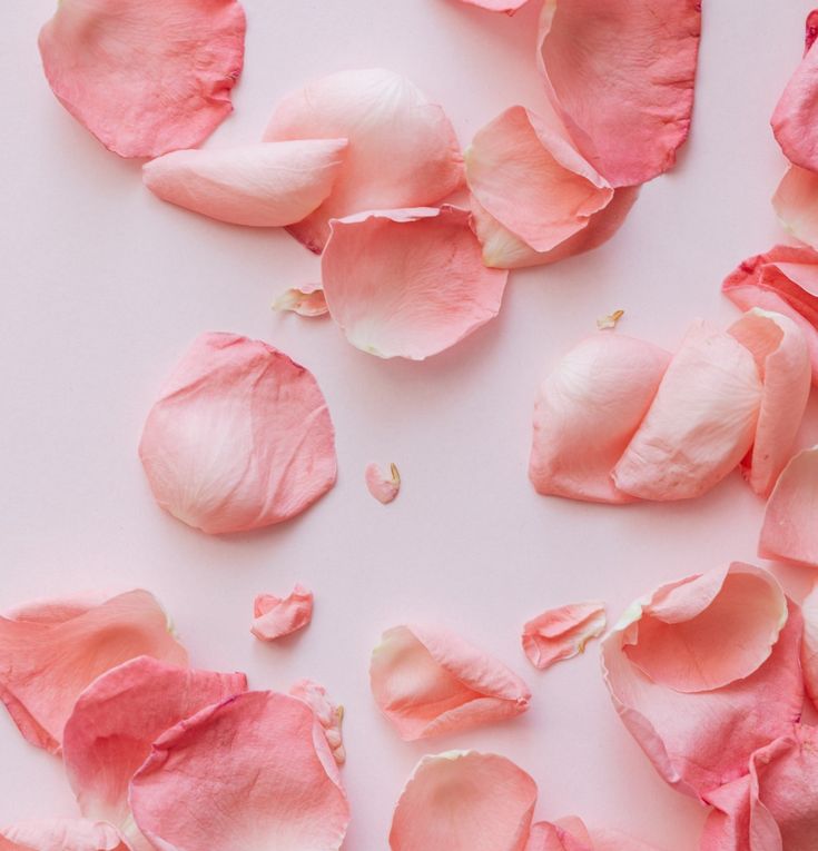 Flower petals Rose Petals Wedding, Popular Scents, Increase Confidence, Wedding Aisle Decorations, Wedding Petals, Flower Girl Basket, Pink Petals, Wedding Aisle, Pastel Background