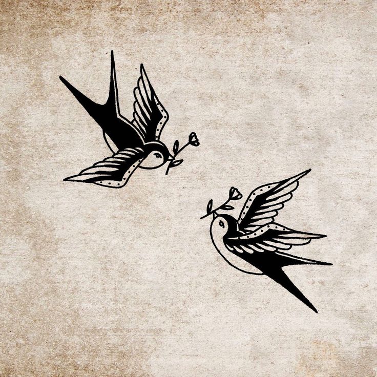 two birds flying next to each other in the air with one bird on it's back