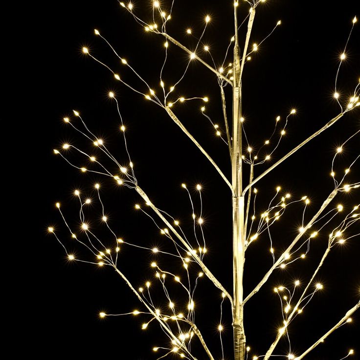 a lighted tree in the dark with white lights on it's branches and no leaves