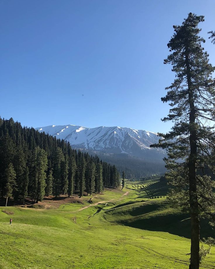 the mountains are covered with snow in the distance, and there is a green field on the far side