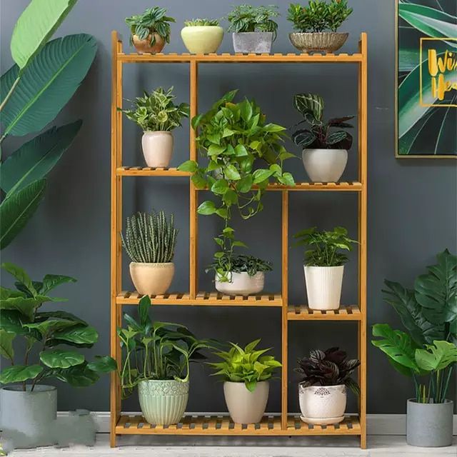 a shelf filled with potted plants on top of a wooden floor next to a gray wall