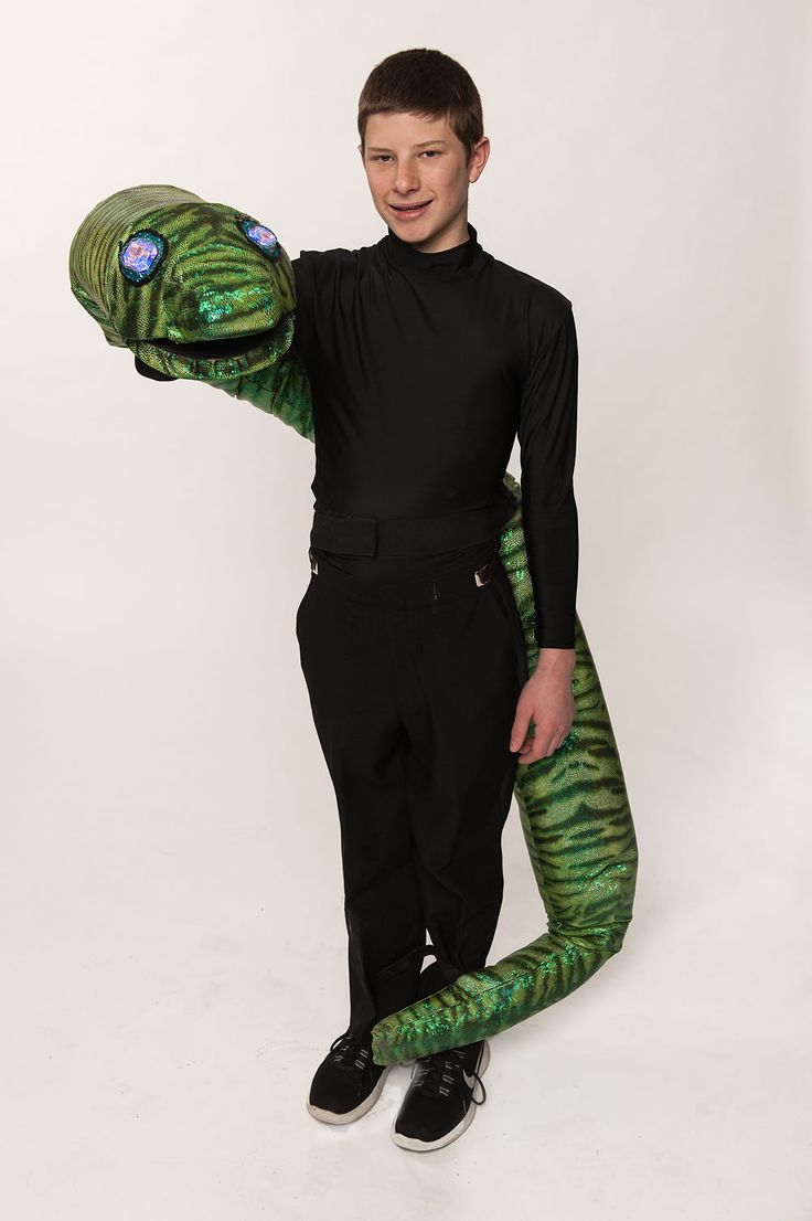 a boy in a black shirt and green snake costume