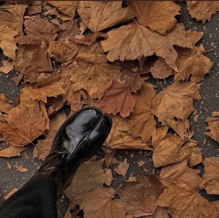 a person's feet in black shoes surrounded by leaves