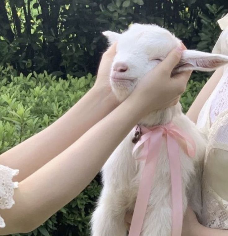 a woman is petting a baby goat on the head while another person holds it