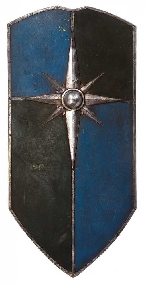 a blue and black shield with a star on it