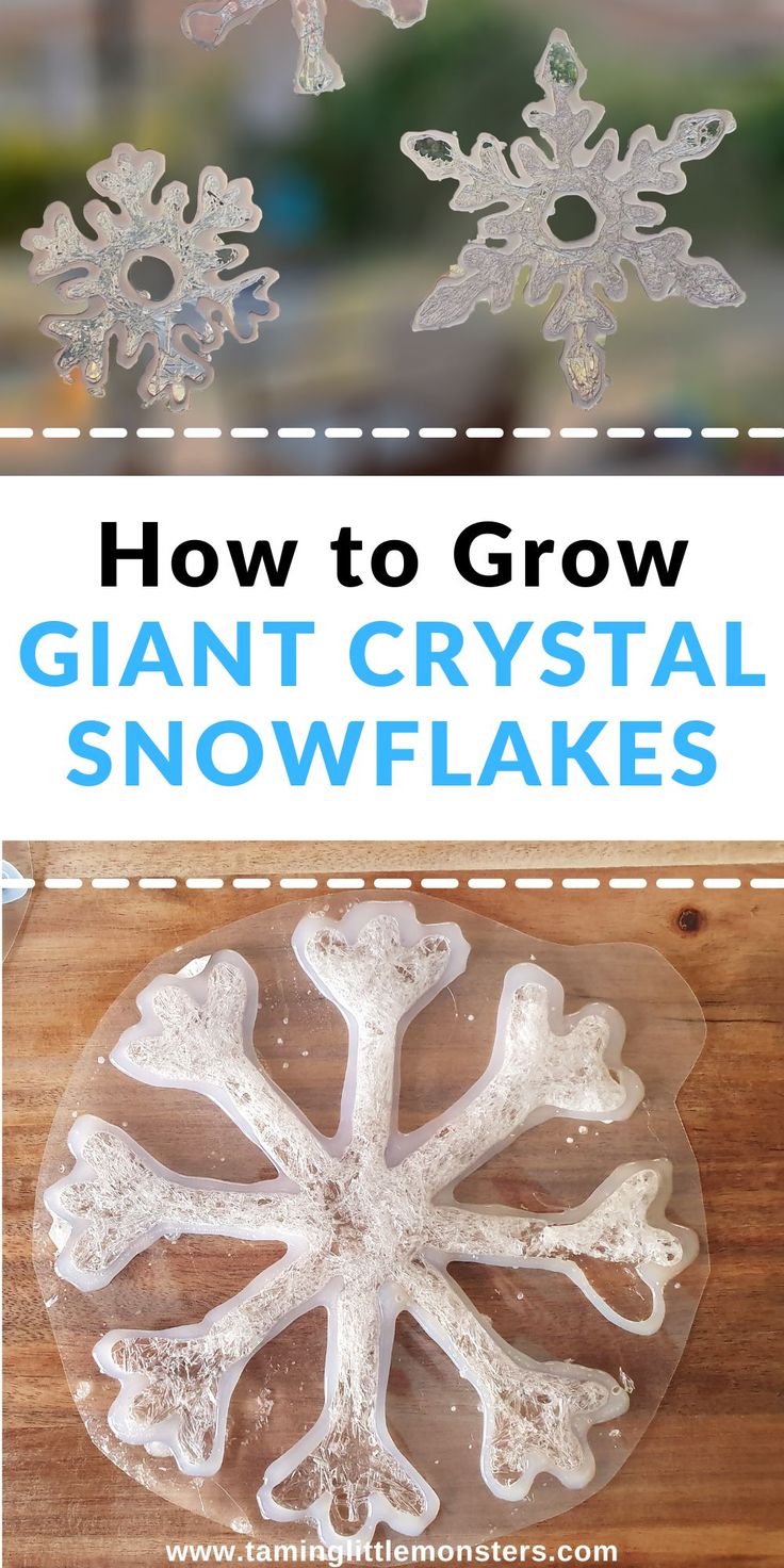 how to grow giant crystal snowflakes with this easy step - by - step instructions