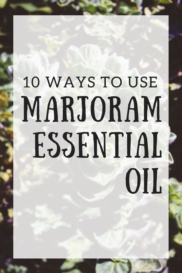 marjoram essential oil Sweet Marjoram, Marjoram Essential Oil, Cedar Oil, Young Living Essential Oils Recipes, Essential Oils Guide, Cedarwood Oil, Cedarwood Essential Oil, Doterra Oils, Diy Essential Oils