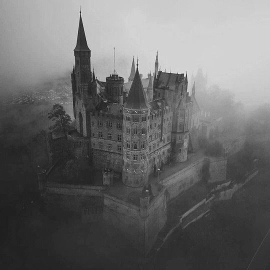 an aerial view of a castle in the fog