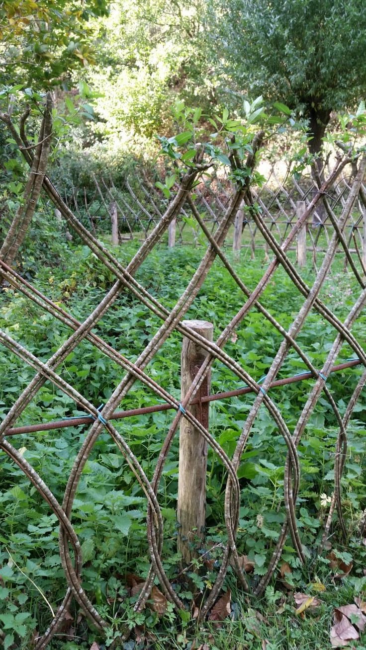 an old rusty fence with vines on it in the middle of some grass and trees