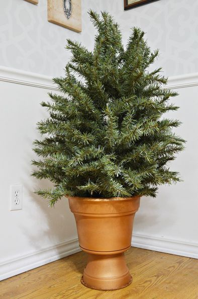 a potted plant sitting on top of a wooden floor