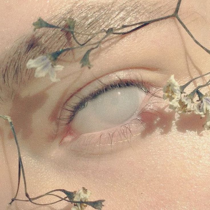 a woman's eye with white flowers on the outside of her irises and branches