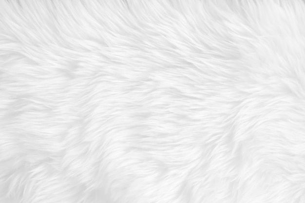 the white fur texture is very soft and fluffy, but it doesn't look like any