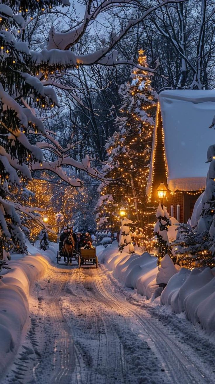 two people riding in a horse drawn carriage down a snowy road with christmas lights on the trees