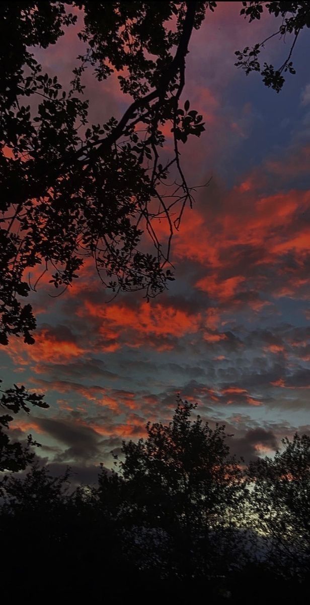 the sun is setting behind some trees and it looks like they are going to fall