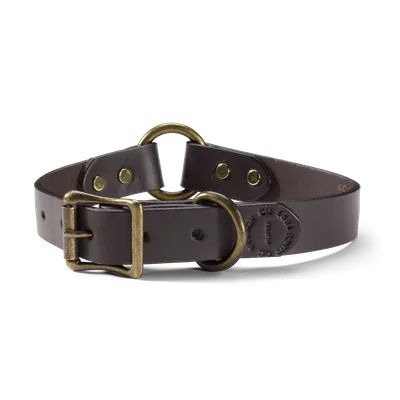 a brown leather collar with an oval buckle on the front, and two brass rings at the end