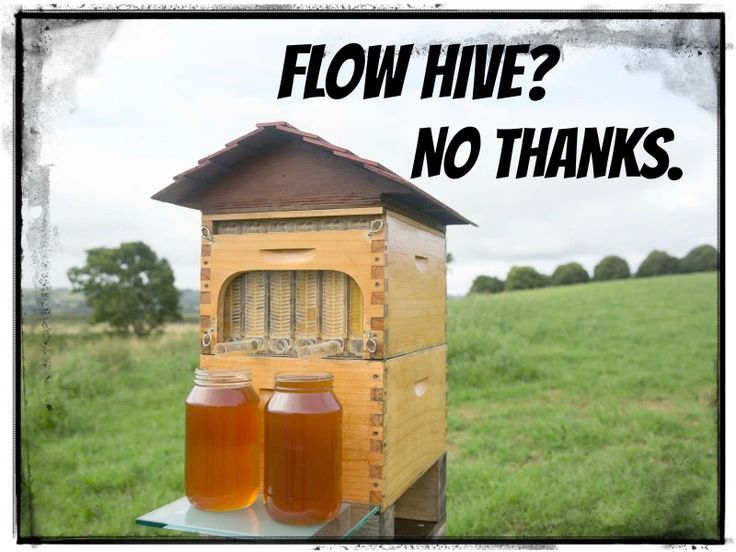 two jars of honey sit in front of a beehive with the words flow hive? no thanks