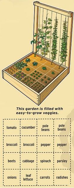 the garden is filled with easy to grow vegetables