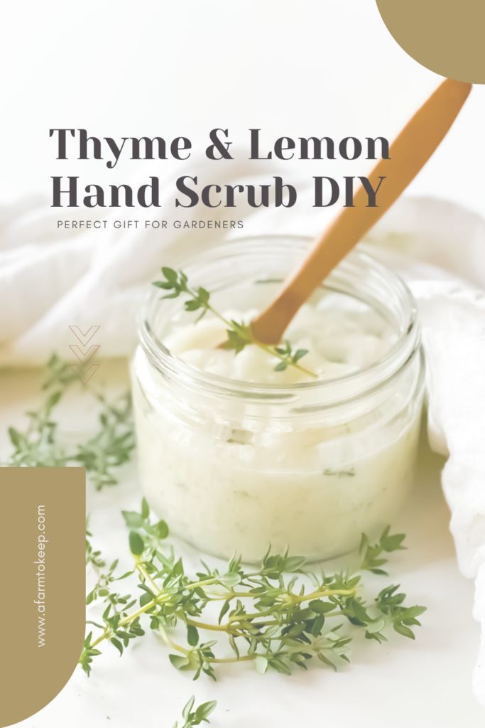 Oct 21, 2021 - Make a DIY lthyme and lemon garden hand scrub with the power of thyme and lemon! This hand scrub makes a charming homemade gift, too! Lavender Hand Scrub, Diy Hand Scrub Recipe, Lemon Hand Scrub, Hand Scrub Recipe, Hand Scrub Diy, Hand Scrub Homemade, Lemon Garden, Diy Soaps, Scrub Diy