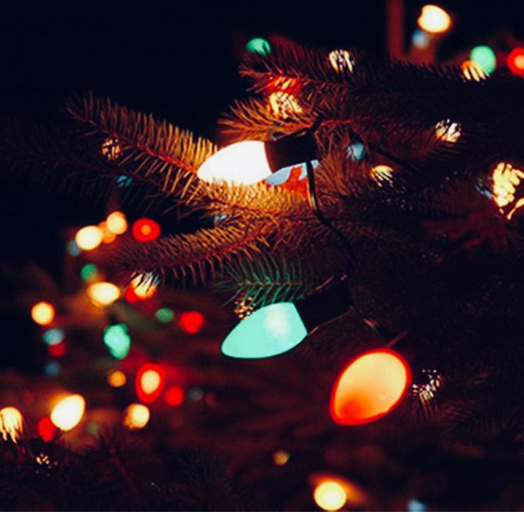 the christmas tree is lit up with colorful lights on it's branches and needles