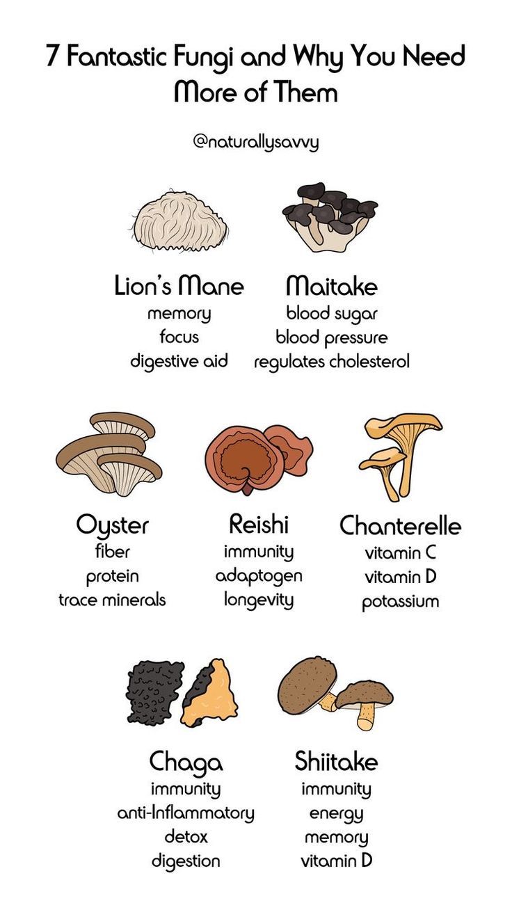 the 7 fantastic things you need to know about mushrooms