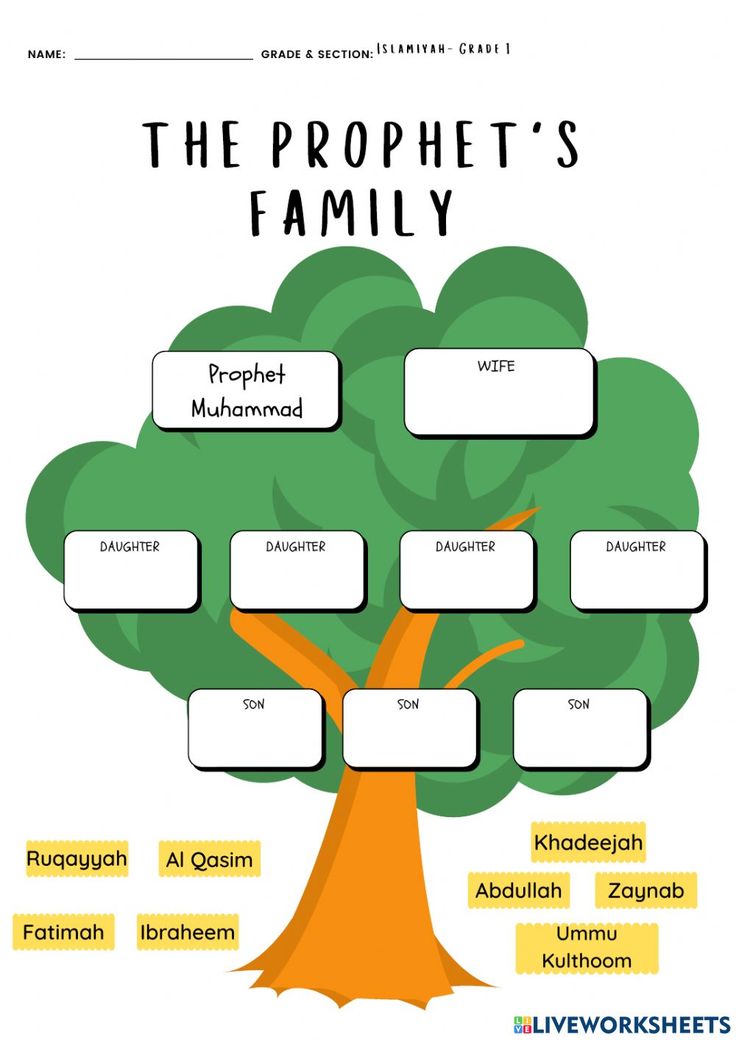 the family tree is shown in this graphic