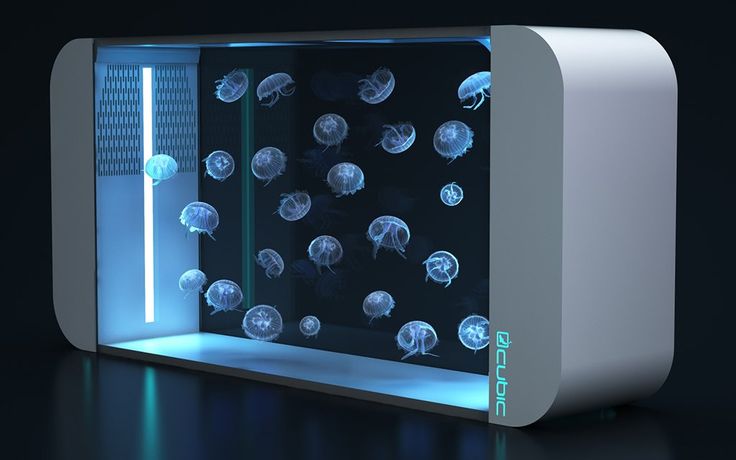 a display case with jellyfish in it on a dark surface, lit up by blue lights