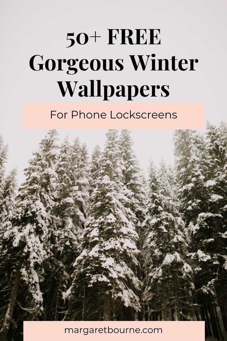 50+ Free Winter Wallpapers for Phone Lockscreens. Snow Covered Trees Wallpaper, Winter Themed Phone Wallpaper, Snow Iphone Wallpaper Aesthetic, Heavy Snow Aesthetic, Cozy Images Aesthetic, Winter Floral Wallpaper Iphone, Seasonal Phone Wallpapers, Winter Scene Wallpaper Iphone, Winter Live Wallpaper