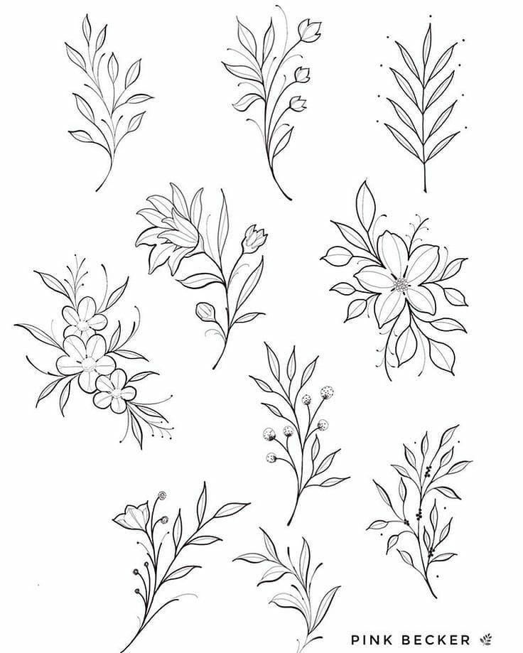 different types of flowers and leaves drawn in ink