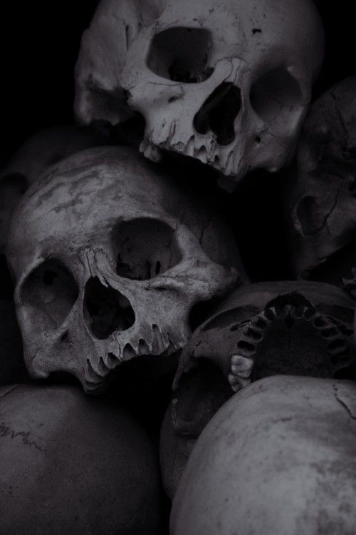 black and white photograph of skulls stacked on top of each other