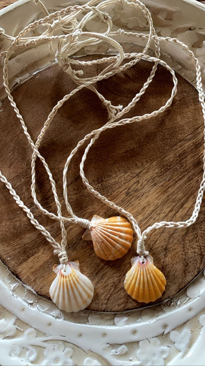 three seashells are hanging from a white rope on a wooden board in a bowl