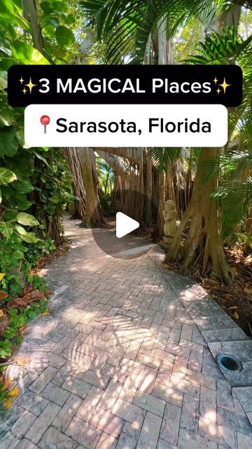 an image of a walkway in the middle of some trees and plants with text reading 3 magic places sarasota, florida