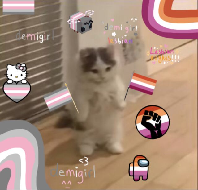 a cat is standing on the floor in front of some stickers