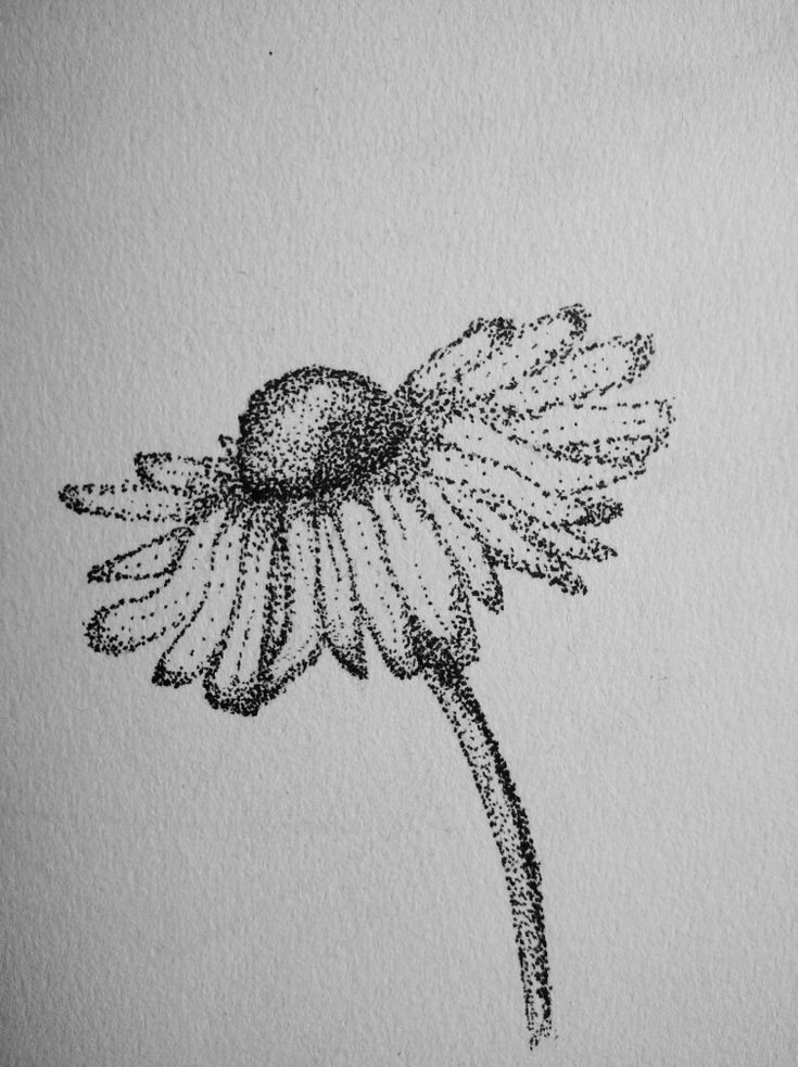 a drawing of a flower on paper