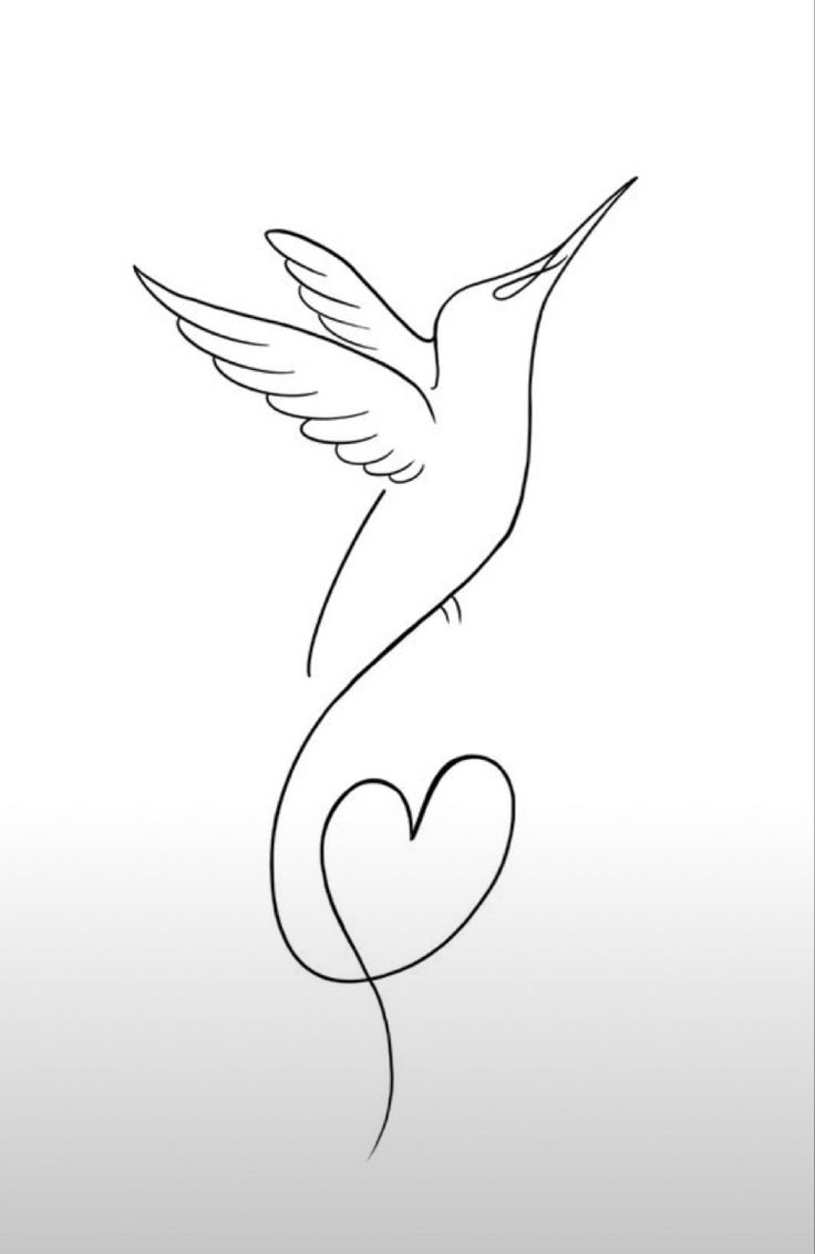 a line drawing of a hummingbird with a heart