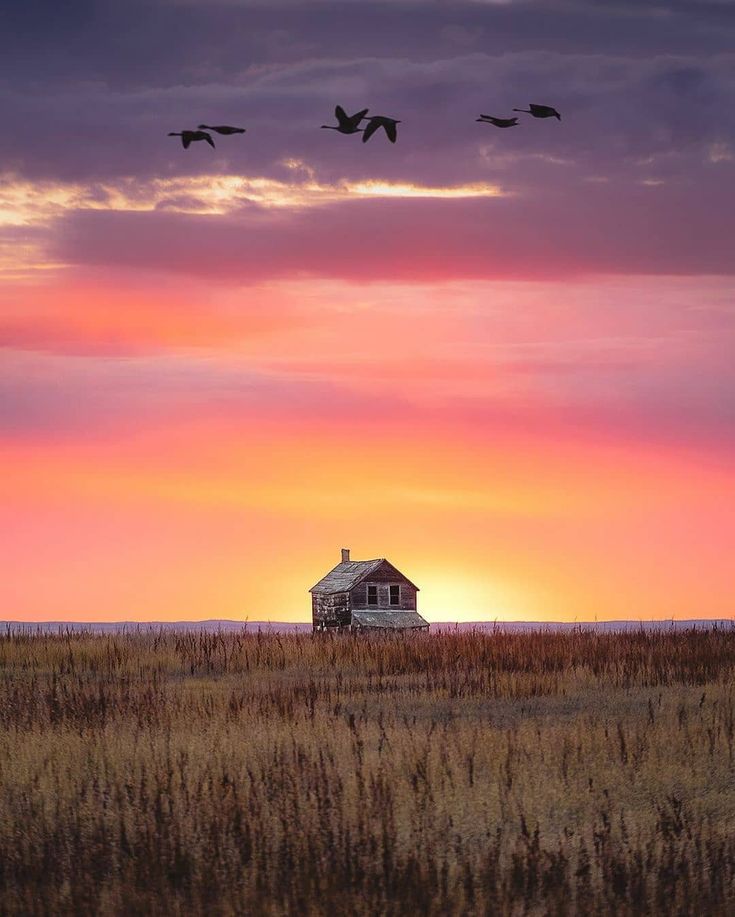 birds flying over a house in the middle of an open field at sunset or dawn