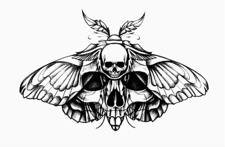 a black and white drawing of a moth with wings on it's back, sitting next to a skull