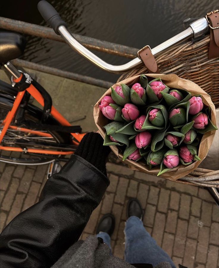 a person holding a basket full of pink tulips in front of a bicycle