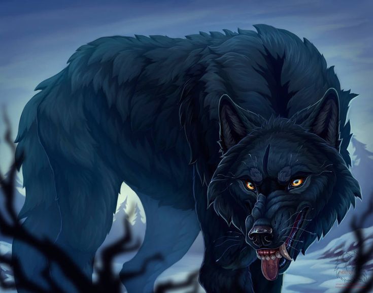 a black wolf with yellow eyes walking through the woods